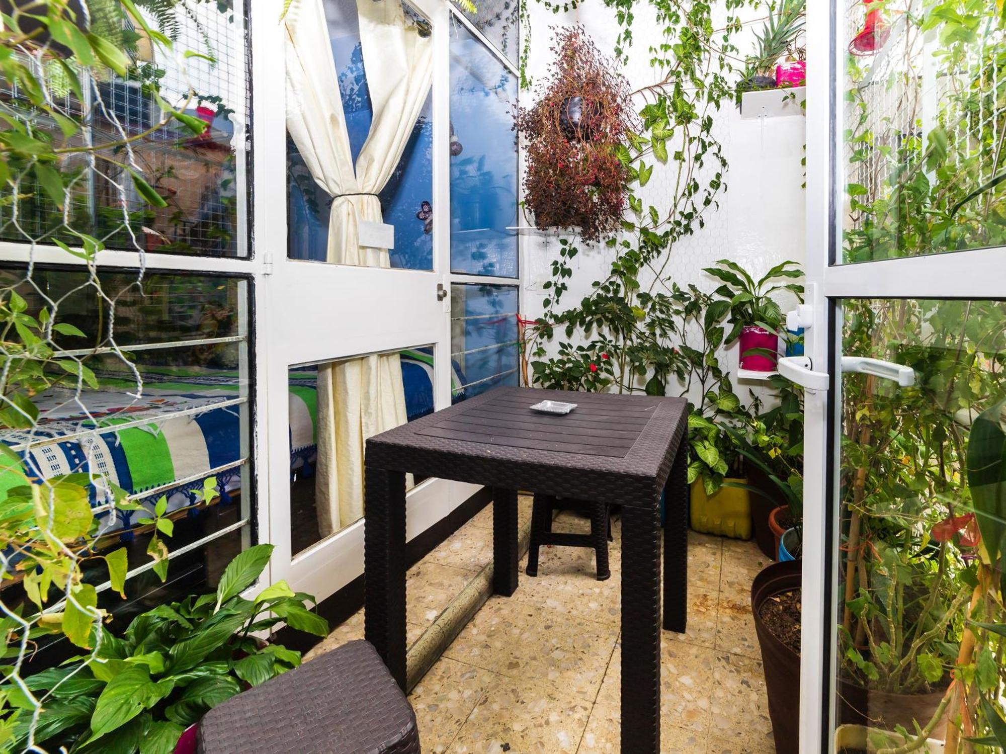 Casa Itzae B&B Polanquito Dog Friendly Mexico-stad Buitenkant foto